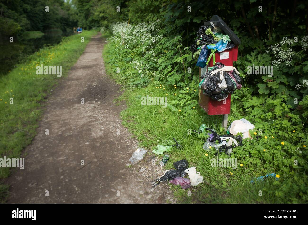 Overflowing dog poo bin with hanging and discarded bags Stock Photo