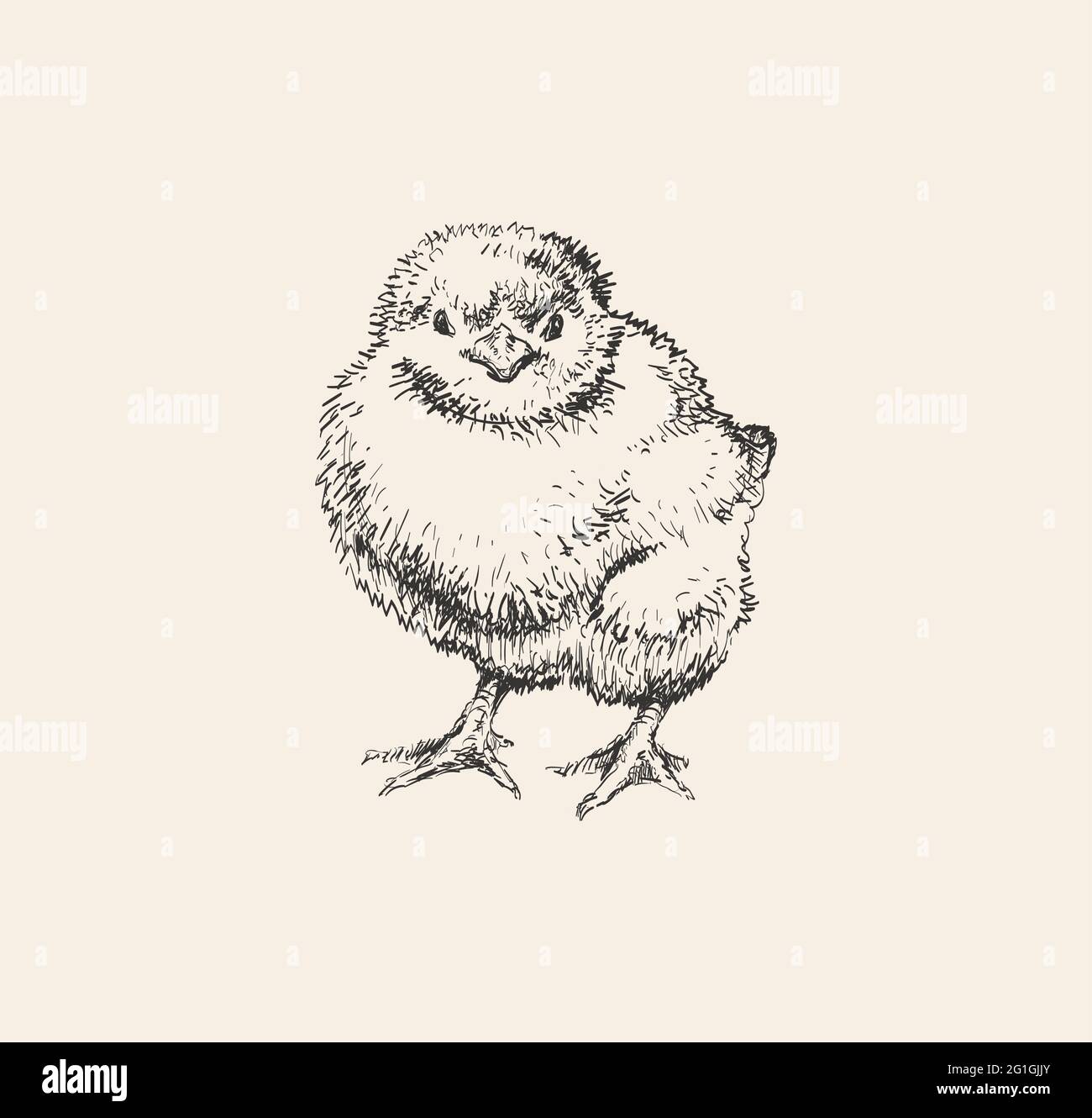 Chicken Meat Drawing Images – Browse 477,661 Stock Photos, Vectors, and  Video | Adobe Stock