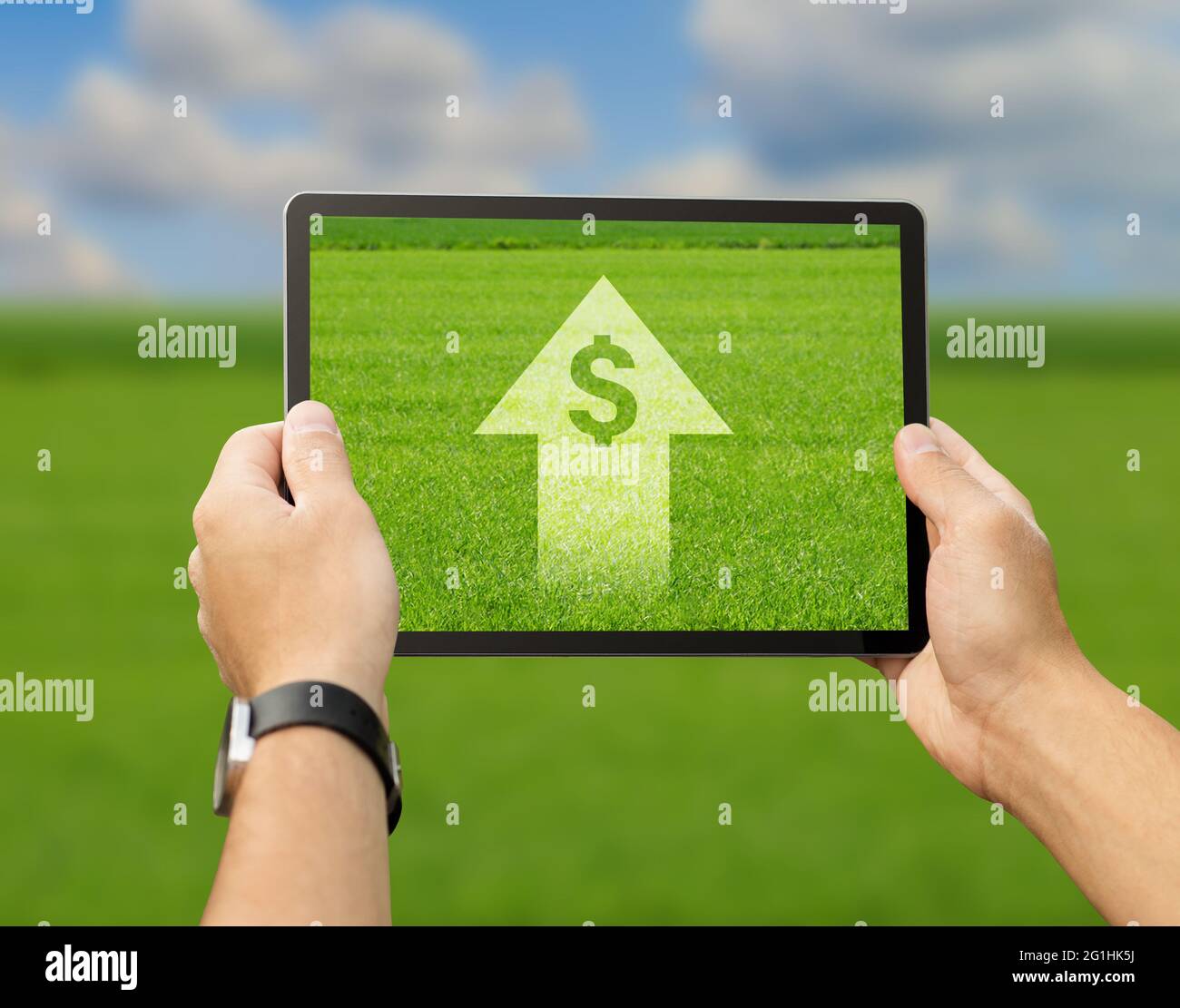 Farmer using digital tablet for agribusiness processes automatization Stock Photo