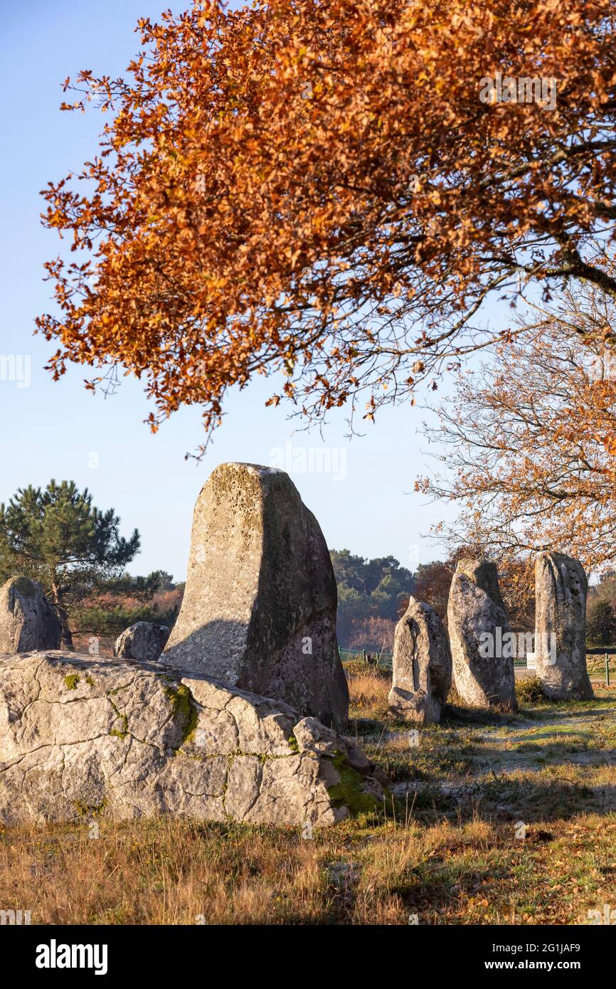 Carnac (Brittany, north western France): Kermario megalithic alignments Stock Photo
