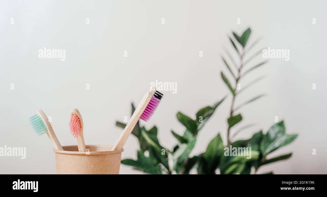 Eco friendly bamboo toothbrushes of different colors in paper cup, zero ...