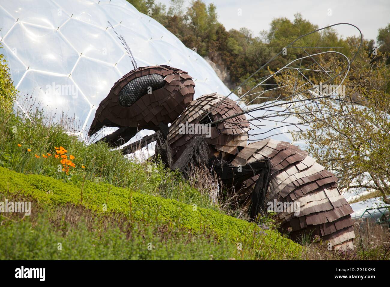 Giant Bee sculpture statue at Eden Project Botanical garden in Bodelva
