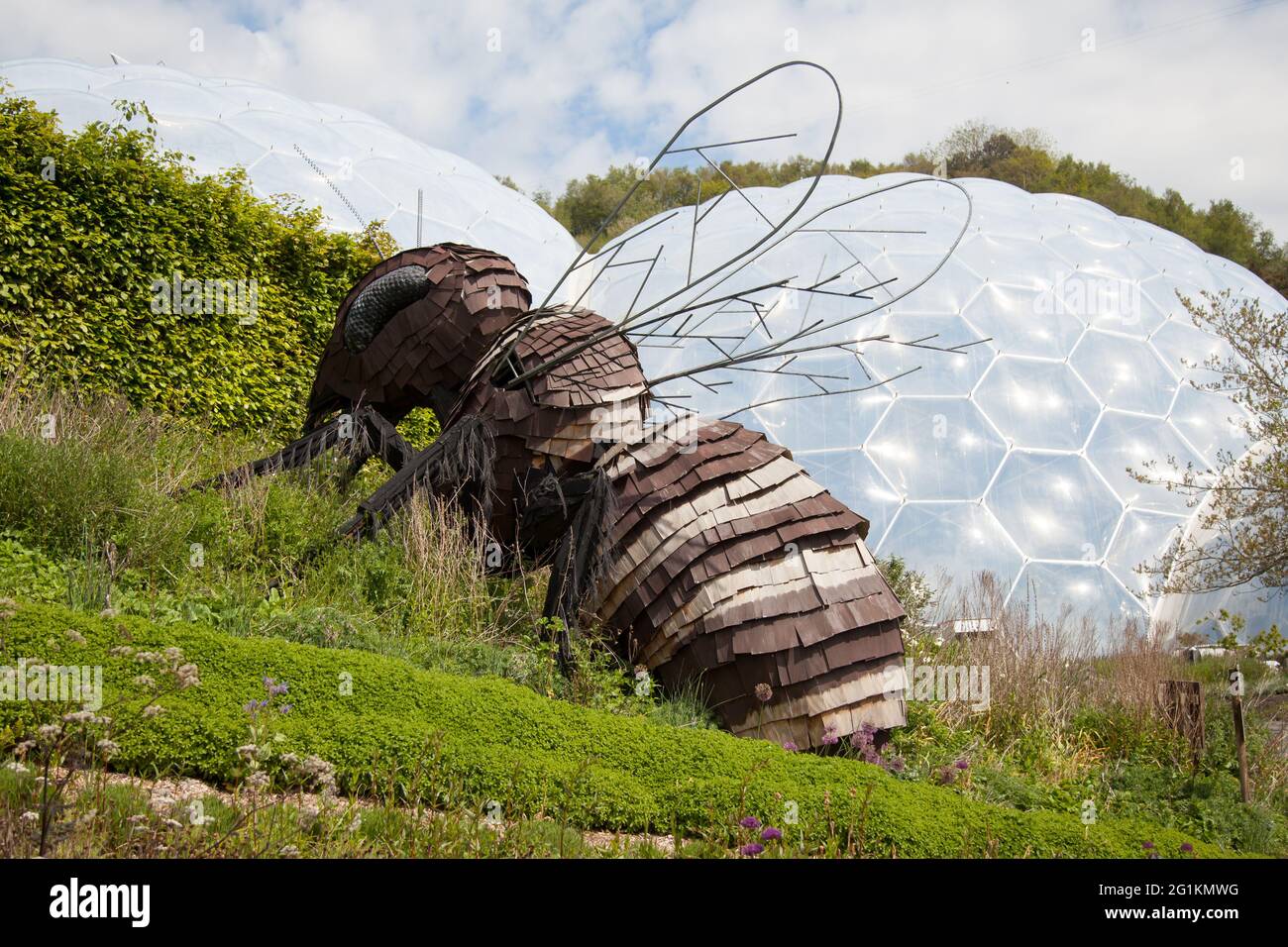 Giant Bee sculpture statue at Eden Project Botanical garden in Bodelva