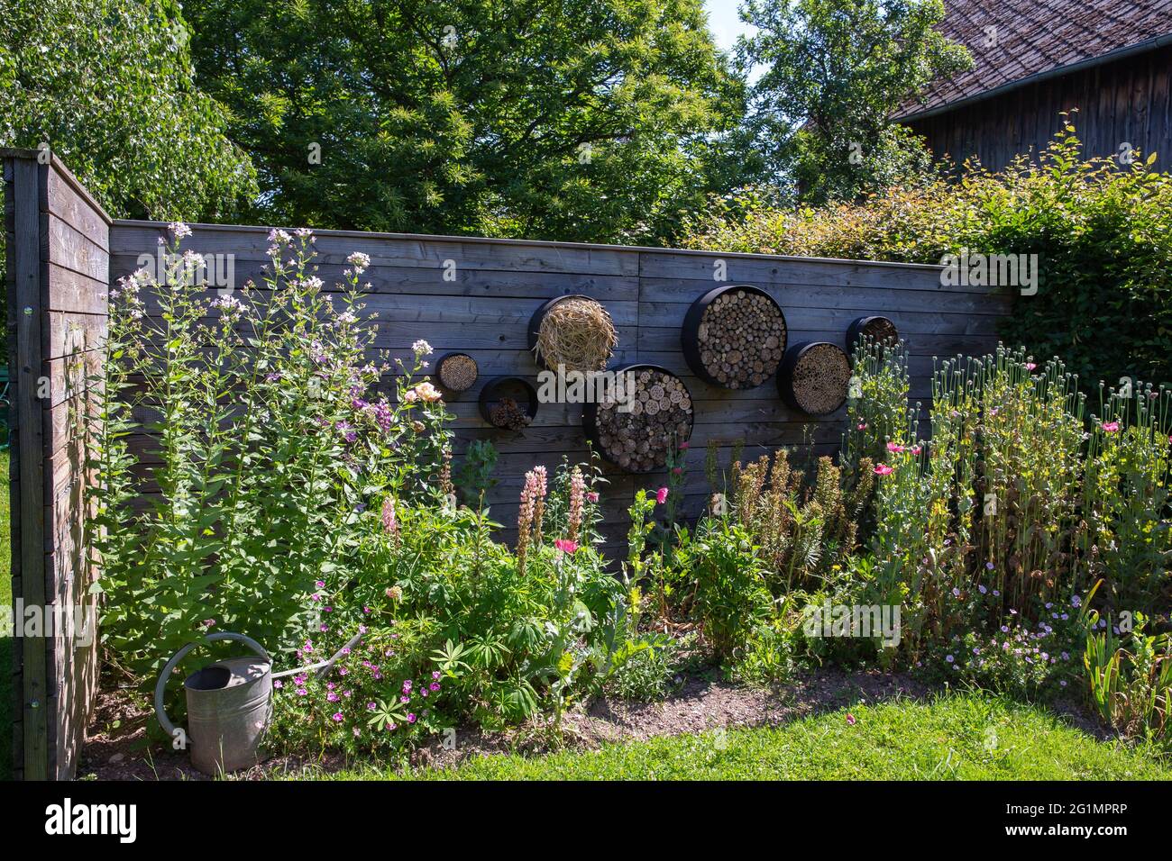 France, Bas Rhin, Saint Maurice, Jardin Cali Canthus, ornamental garden,  decorative, visited by the public, placce for insetcs on a wall, in the  middle of a flower bed Stock Photo - Alamy