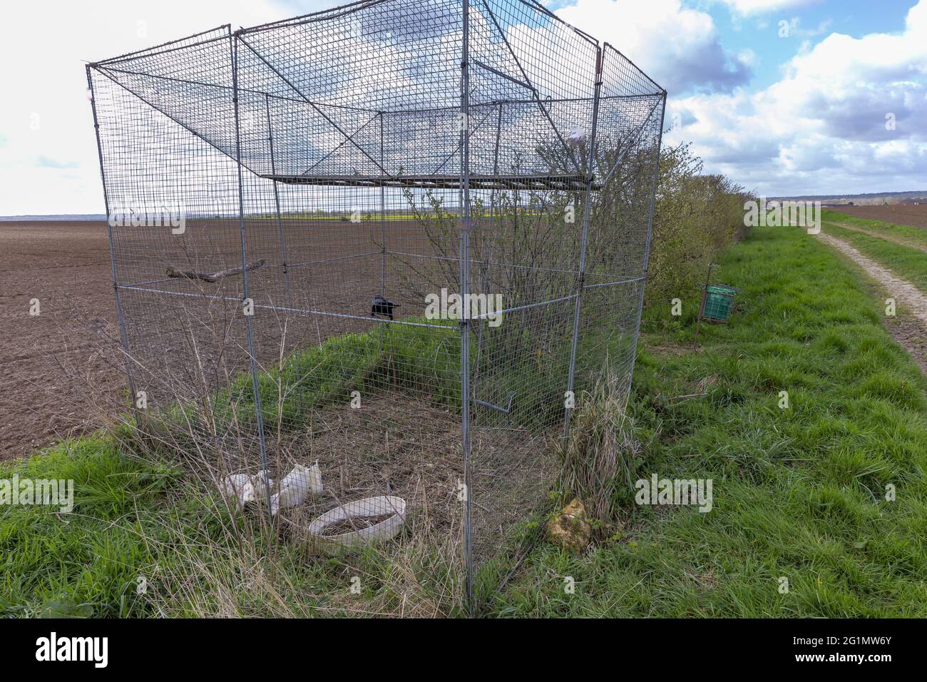 France, Oise, Senlis region, Wire mesh cage to capture crows and other