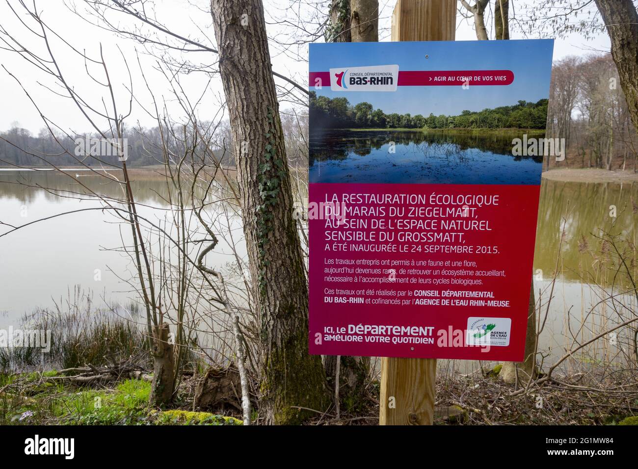 France, Grand Est Region, Bas Rhin (67), Grossmatt Natural Sensitive Area,  Ziegelmatt Marsh, renatured area protected by the Bas Rhin Departmental  Council Stock Photo - Alamy