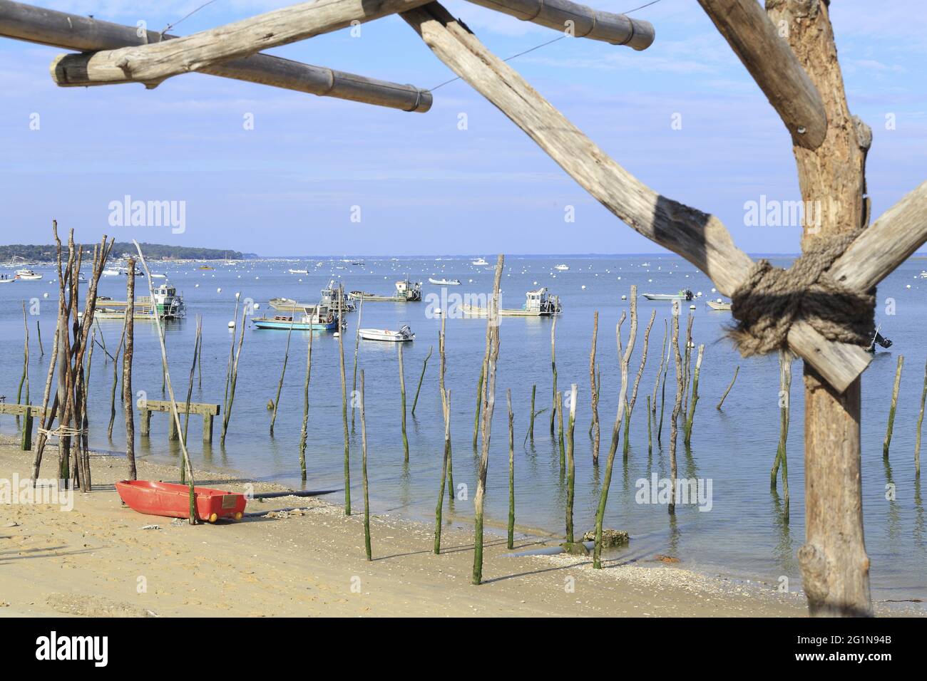 france-gironde-arcachon-basin-l-ge-cap-ferret-l-herbe-oyster