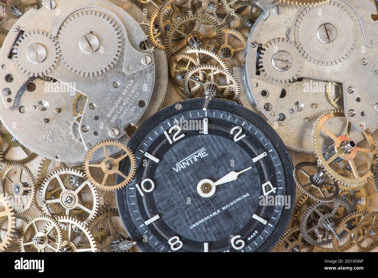Assorted watch parts Stock Photo Alamy