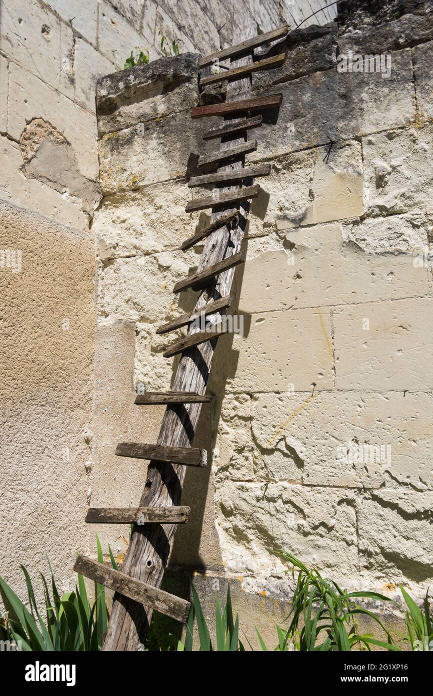 Simple hand-made wooden ladder for a domestic cat to climb a high wall - Beaulieu-lès-Loches, Indre-et-Loire (37), France. Stock Photo