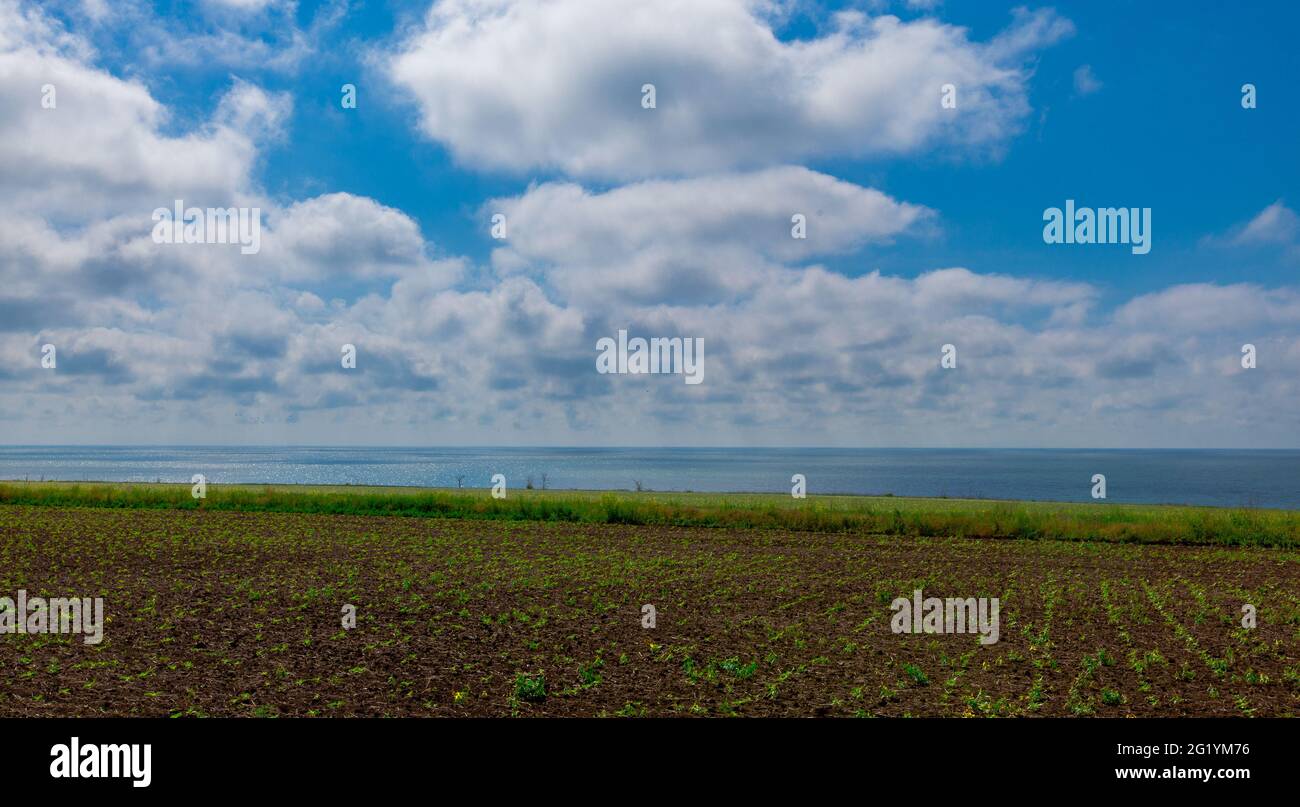 rural field by the sea Stock Photo