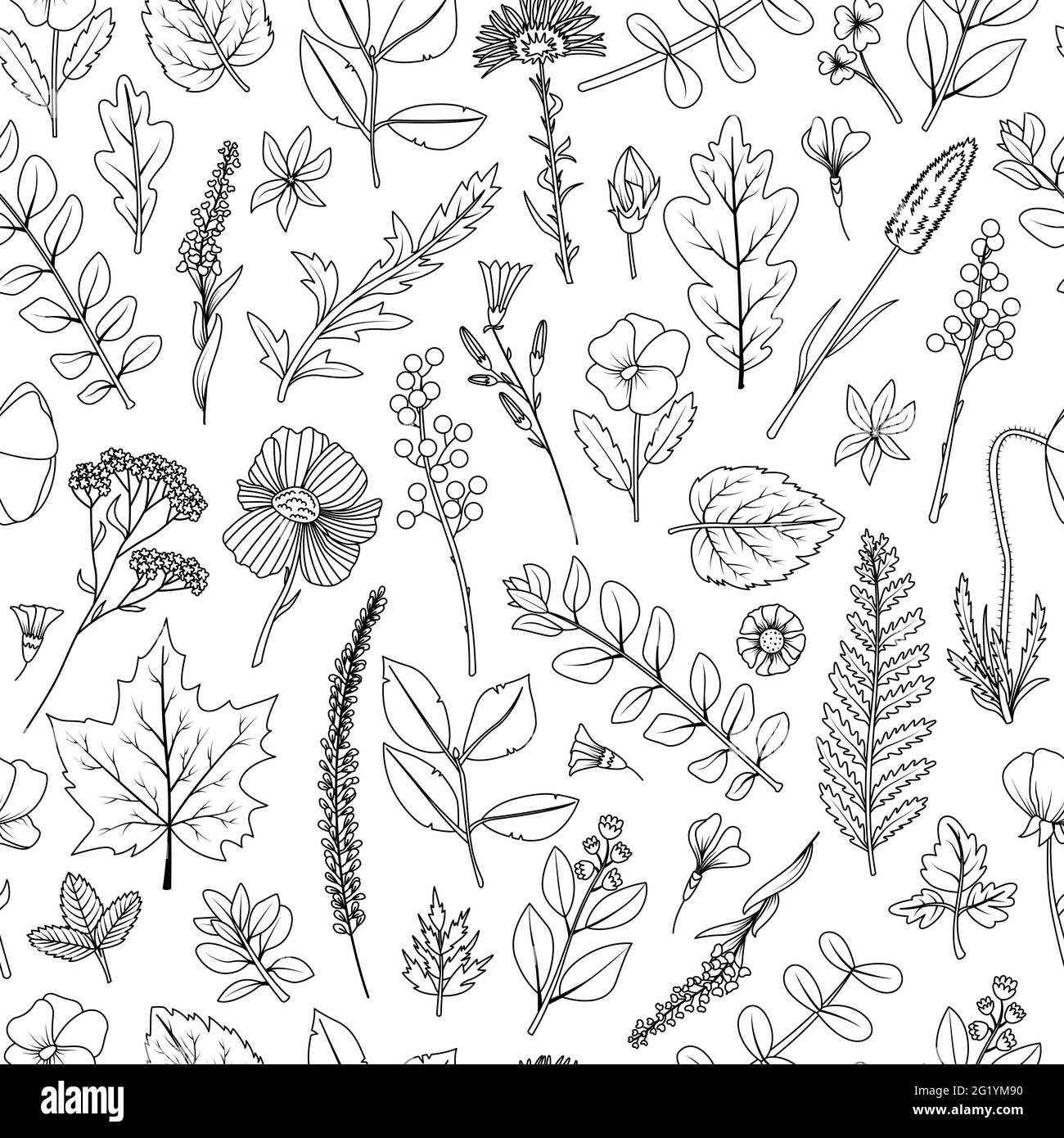 A seamless pattern of dried leaves and flowers for the herbarium. Stock Vector