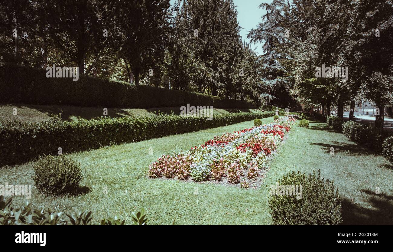 Flowers in green park hi-res stock photography and images - Alamy
