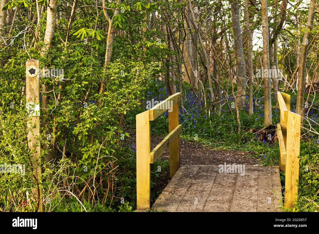 Bridge and footpath sign marking the entrance to woods with bluebells in bloom - springtime, Sharnbrook, Bedfordshire, England, UK Stock Photo