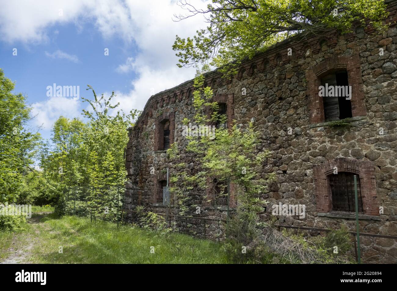Old abandoned building in a forest Stock Photo - Alamy