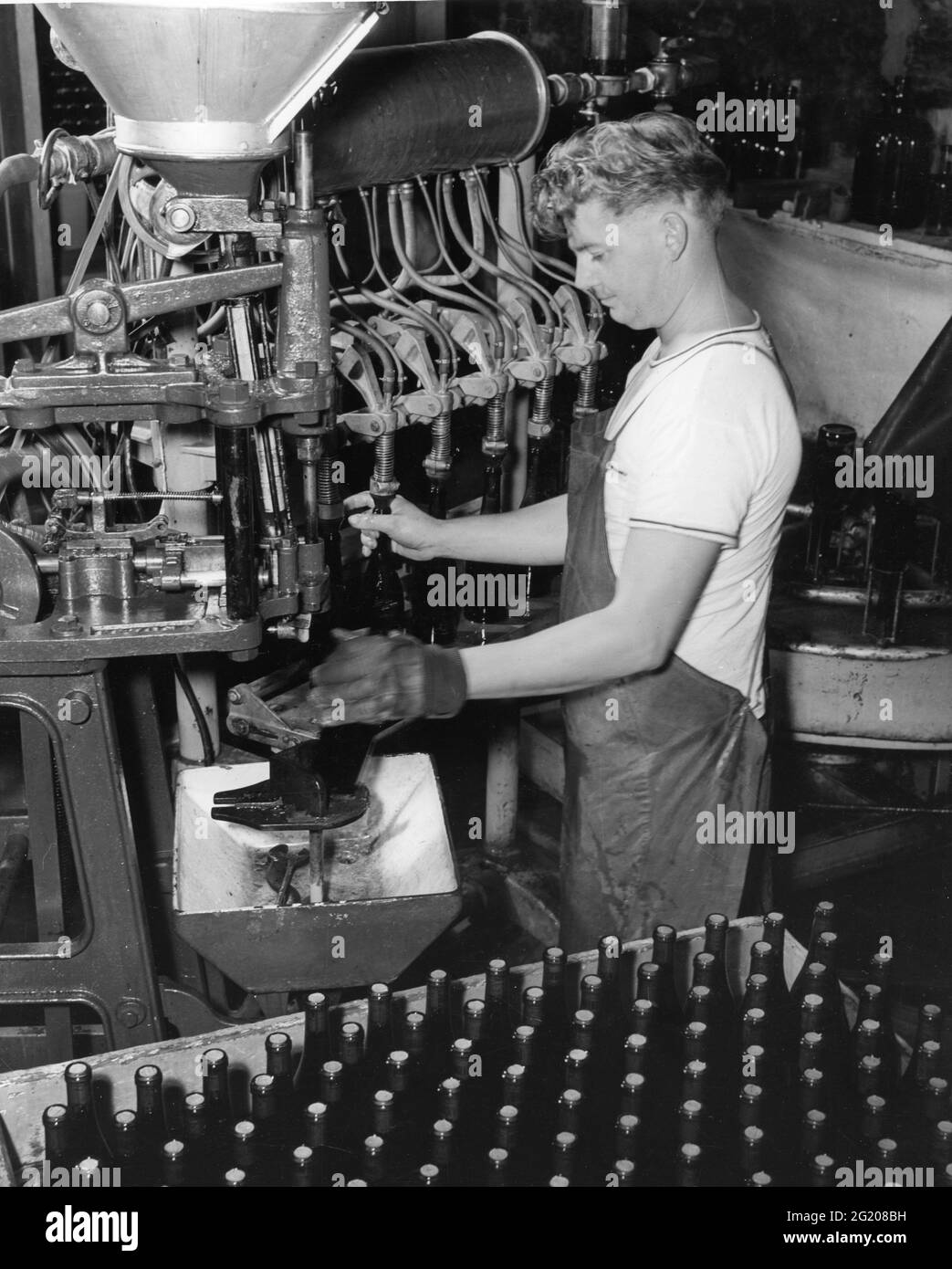 Worker in Beringer Brothers winery takes bottles from the sterlizer behind him and puts them in the bottling machine at right. When they are filled with wine, he puts them in the corking machine and sets them in a box, St Helena, CA, 1961. (Photo by Beringer Brothers, Inc/RBM Vintage Images) Stock Photo