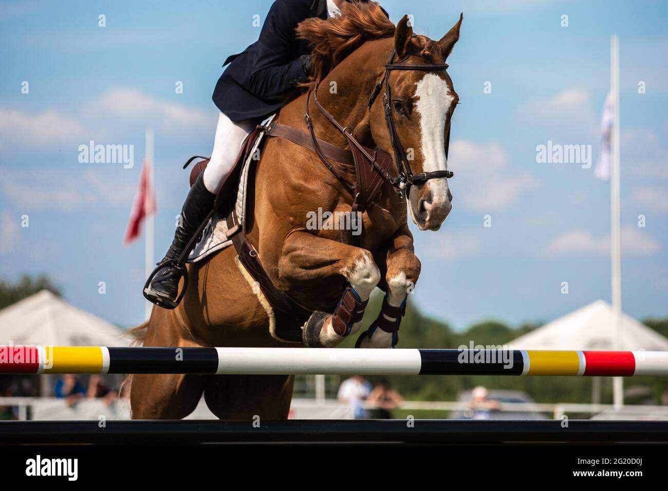 Horse Jumping, Equestrian Sports, Show Jumping event themed photograph Stock Photo