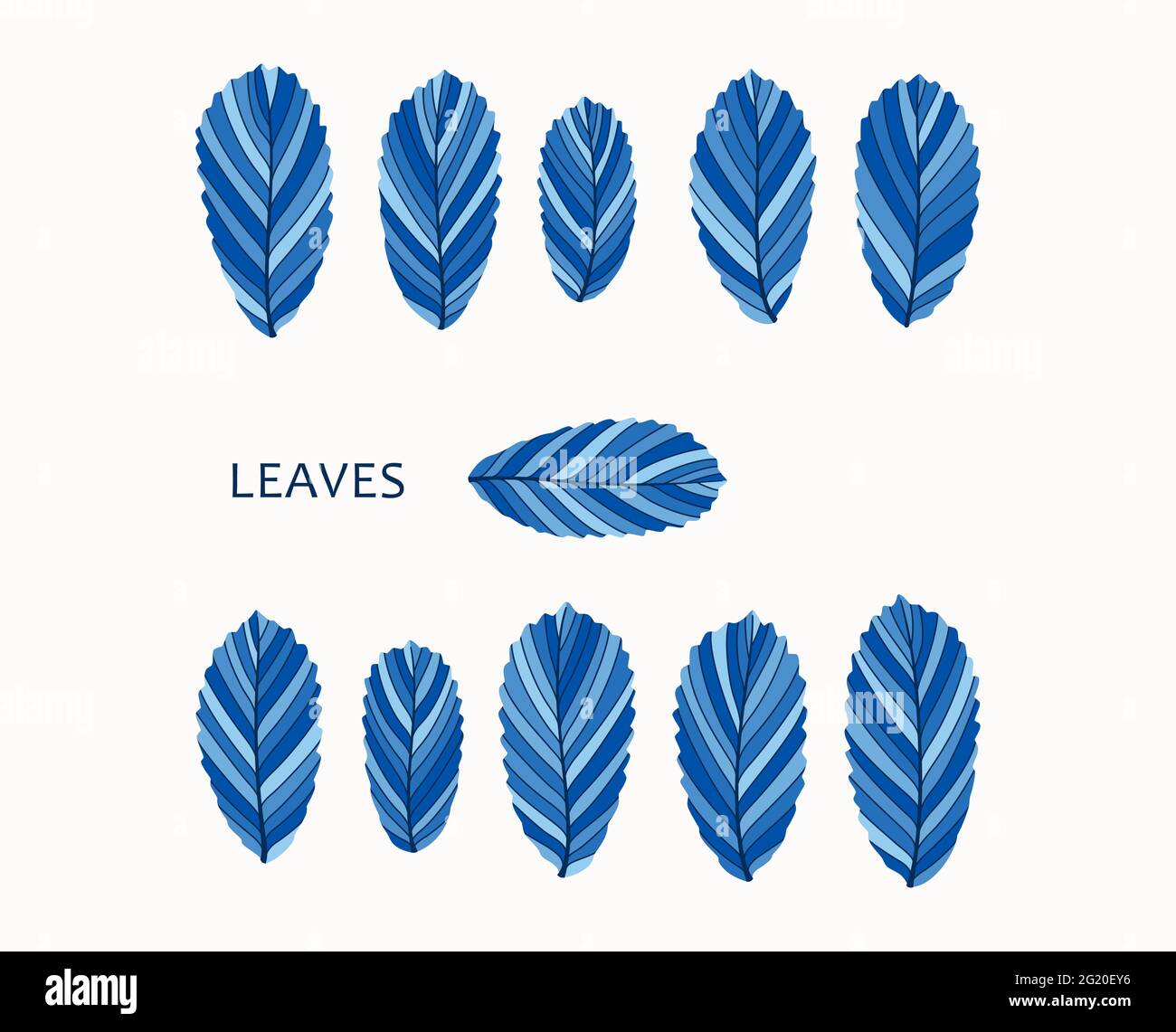 Set of artistic leaves in a modern minimalist style. Retro floral collection of leaf. Vector graphics Stock Vector