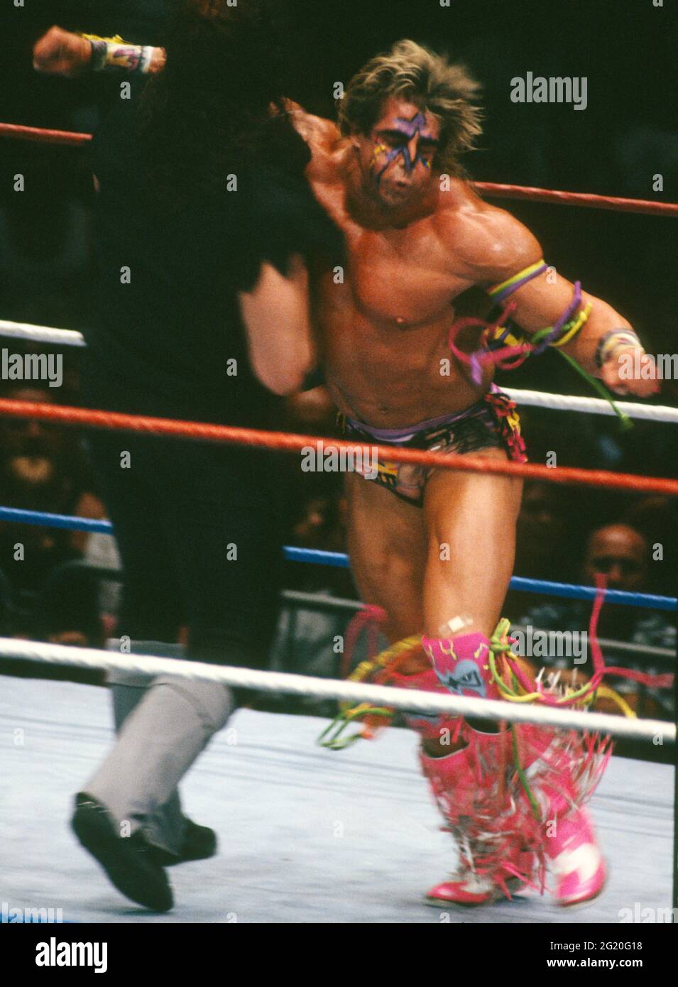 undertaker 1991
