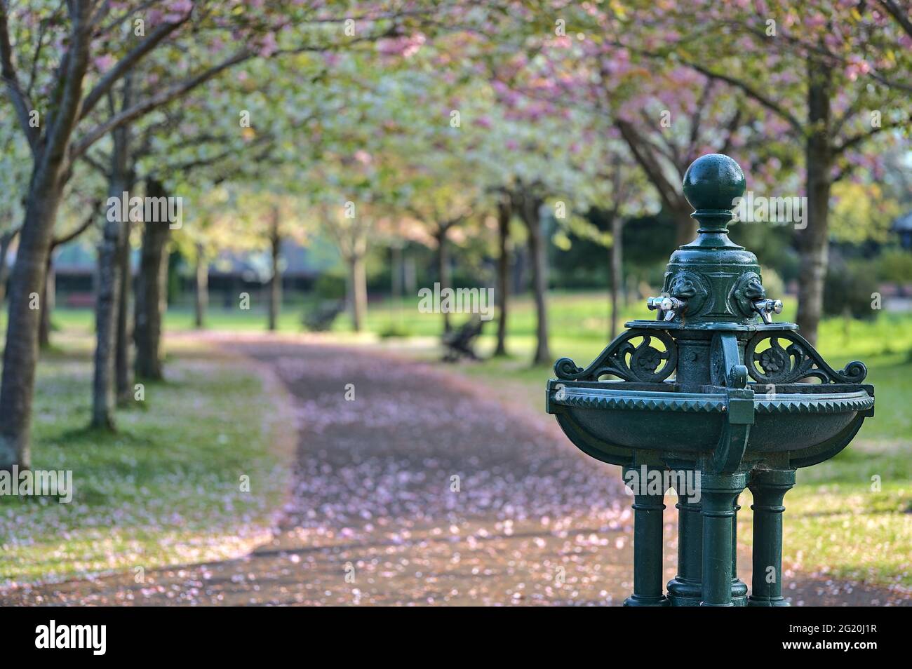 Restored flora fountain hi-res stock photography and images - Alamy