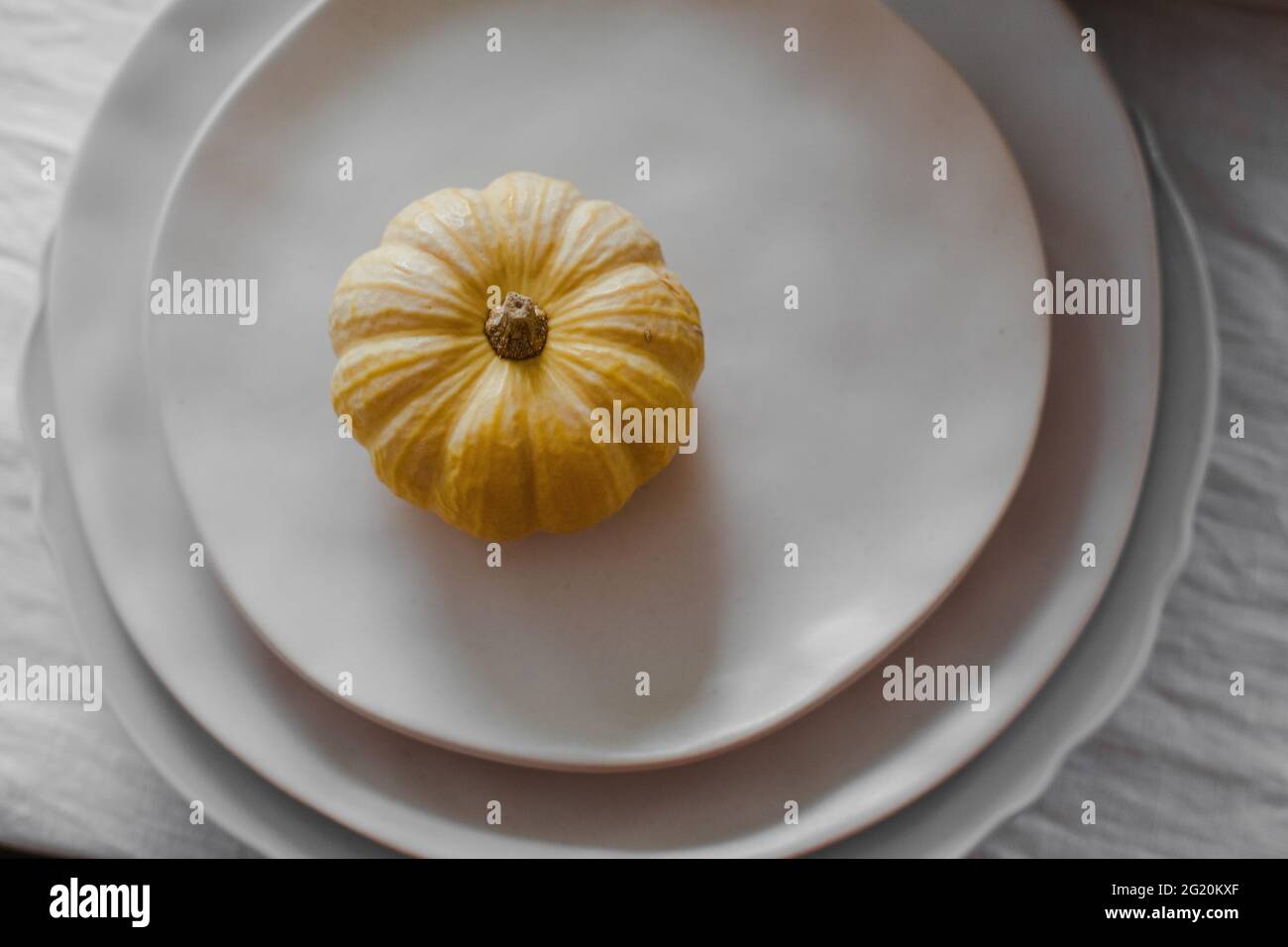 Top view of the beautiful fresh pumpkin Stock Photo