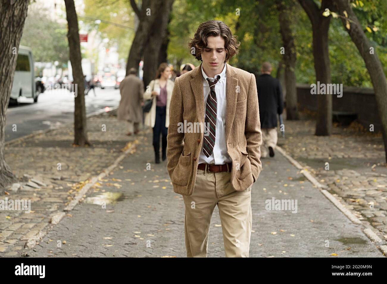 Timothée Chalamet Tweed A Rainy Day in New York Gatsby Blazer