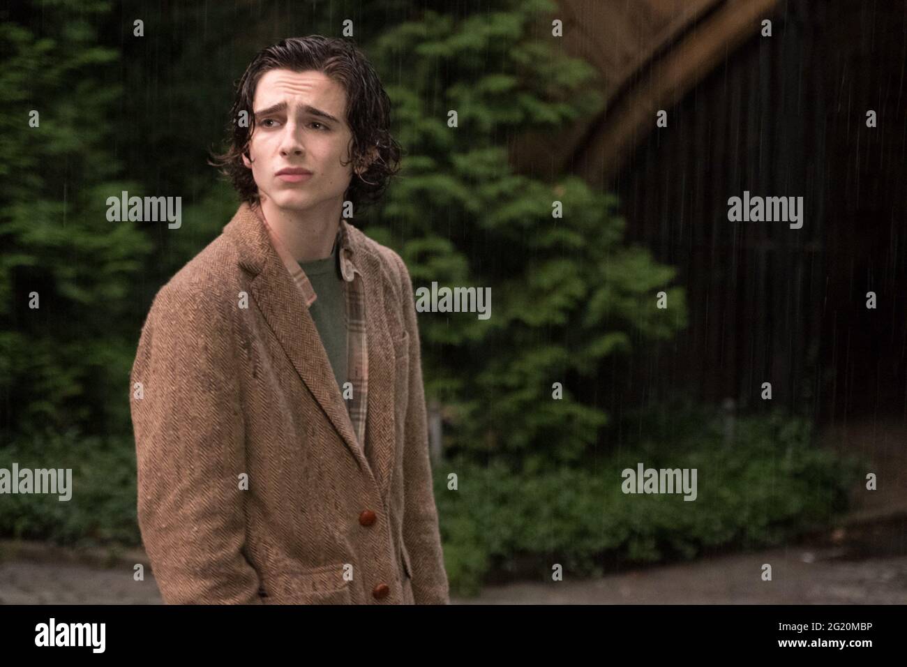 A Rainy Day In New York Timothée Chalamet Coat