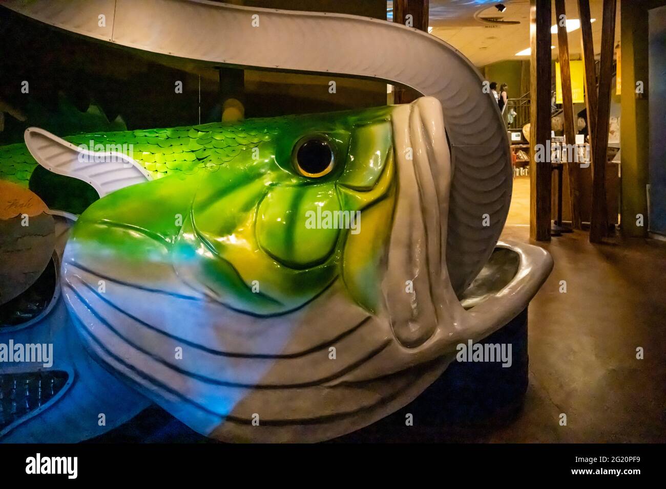 Chattahoochee nature center hires stock photography and images Alamy