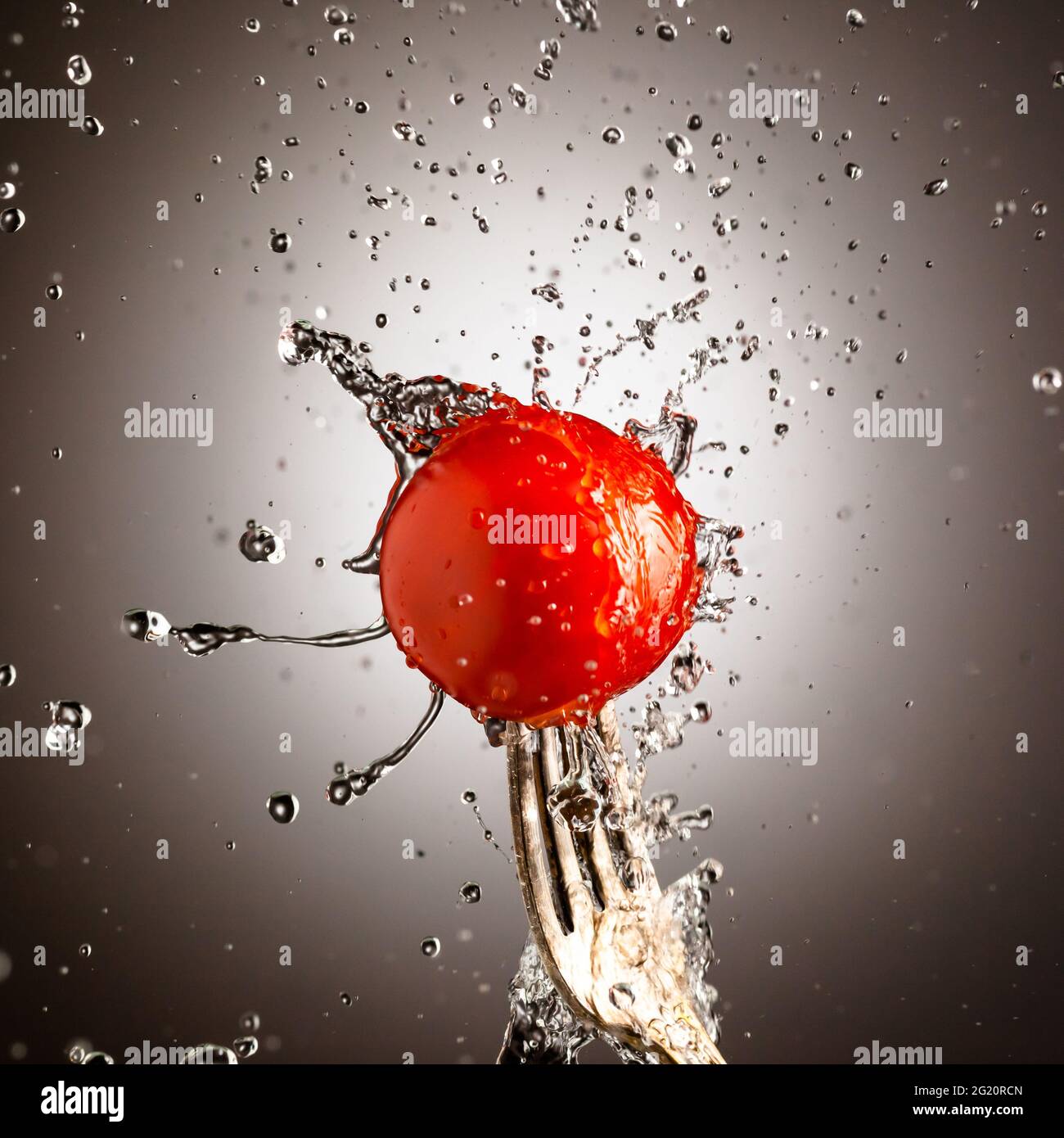 ripe cherry tomato in splashes of water on black white gradient background  Stock Photo - Alamy