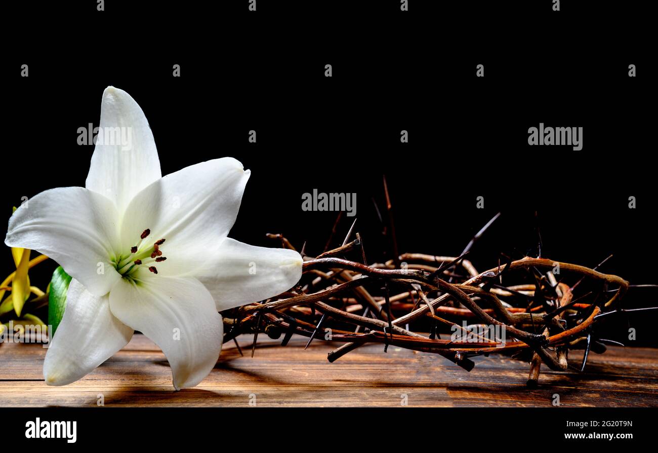A crown of thorns and a Easter Lilly on a black background with copy space Stock Photo
