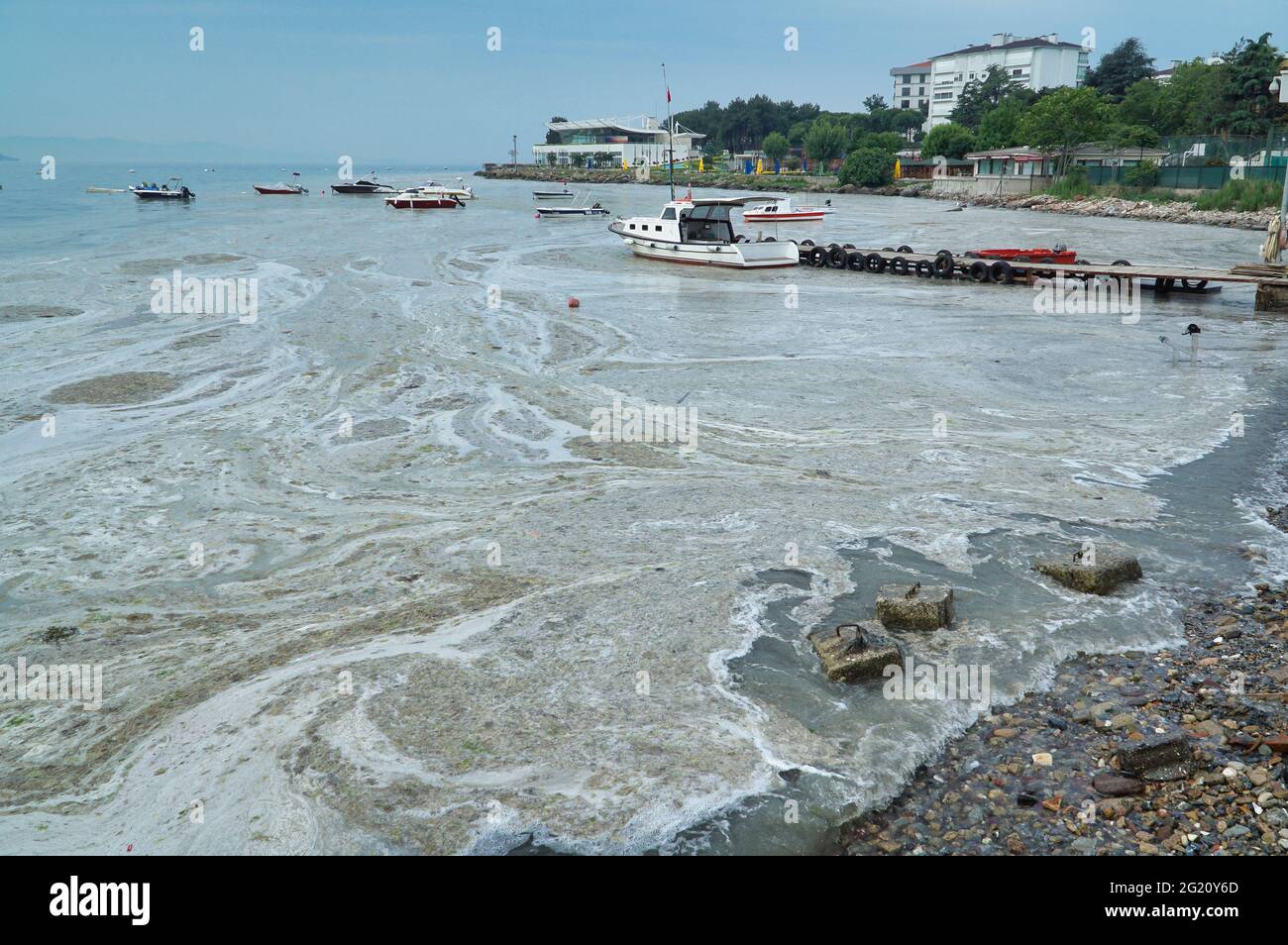 White layer formed on the Marmara sea surface due to sea snot or sea saliva in Caddebostan, Kadikoy, Istanbul, Turkey Stock Photo