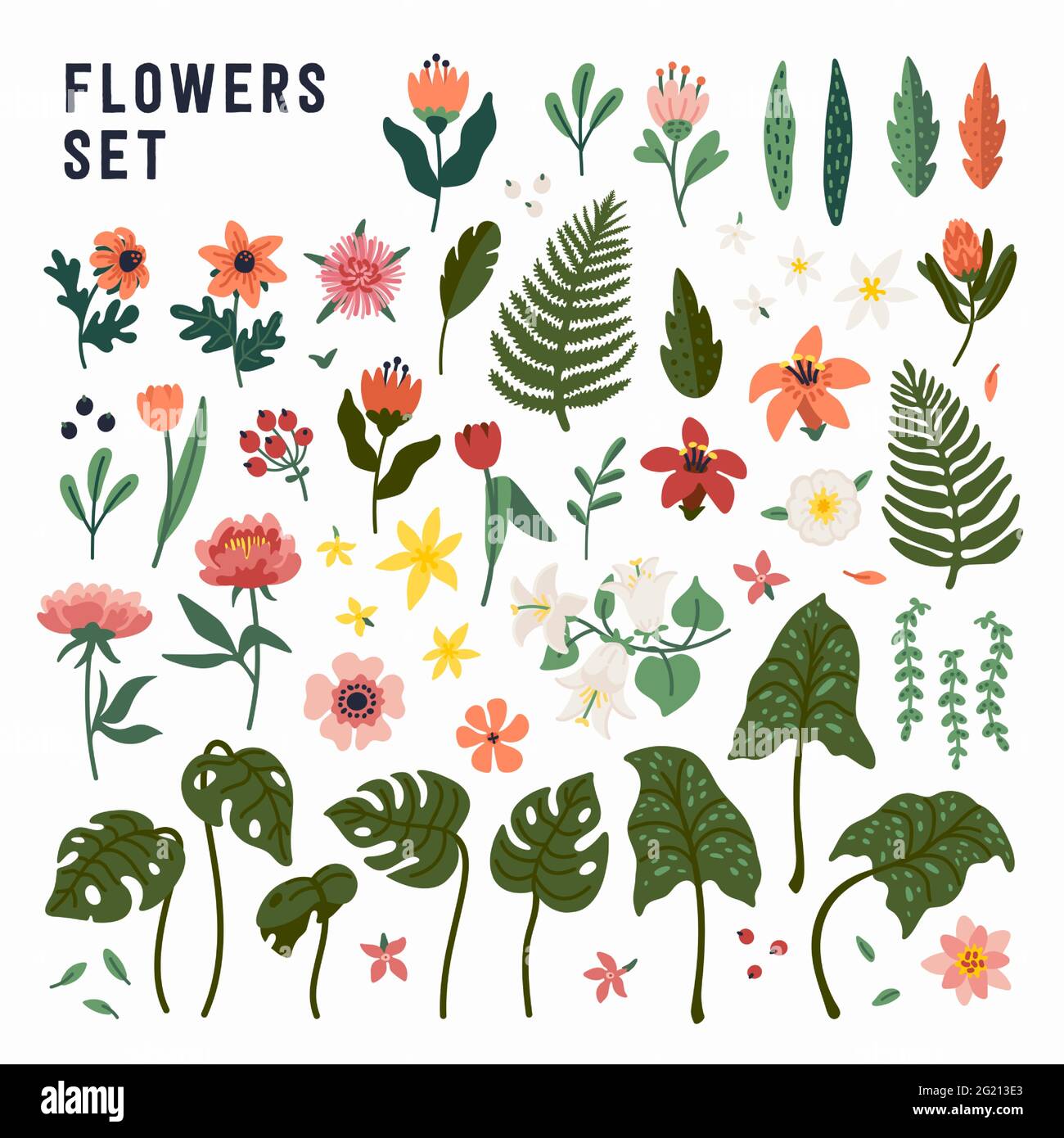 Cartoon Of Garden Flowers High Resolution Stock Photography And Images Alamy Cartoon Of Garden Flowers High Resolution Stock Photography And Images Alamy