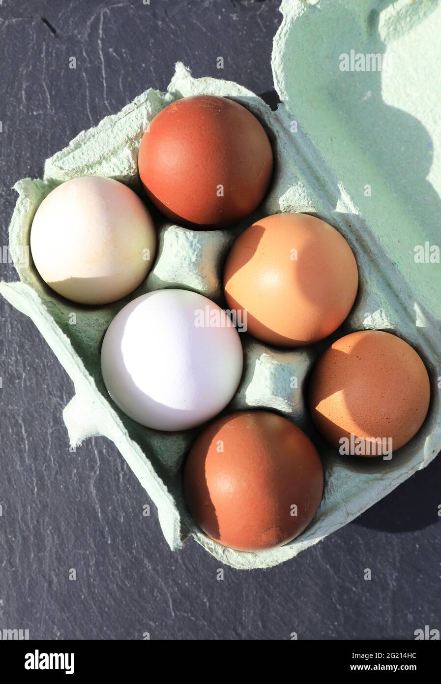 Free range eggs in a box, UK Stock Photo