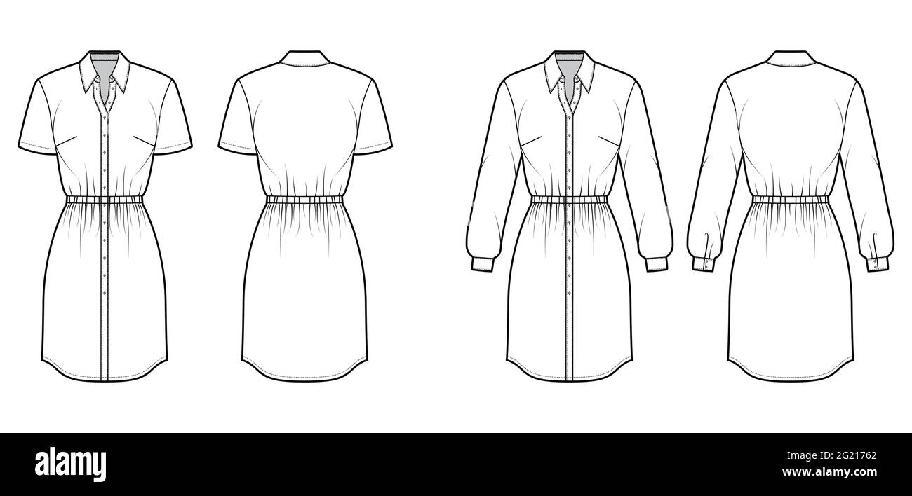 Set of Dresses shirt technical fashion illustration with gathered waist, long short sleeves, knee length skirt, classic collar, button closure. Flat apparel front, back, white color. Women, CAD mockup Stock Vector