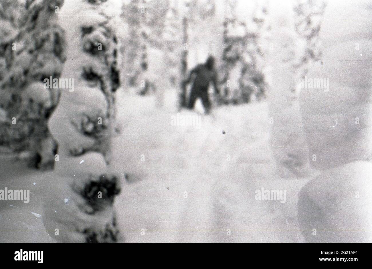 AN UNKNOWN COMPELLING FORCE, Dyatlov Pass, 1959, 2021. © 1091 Pictures ...