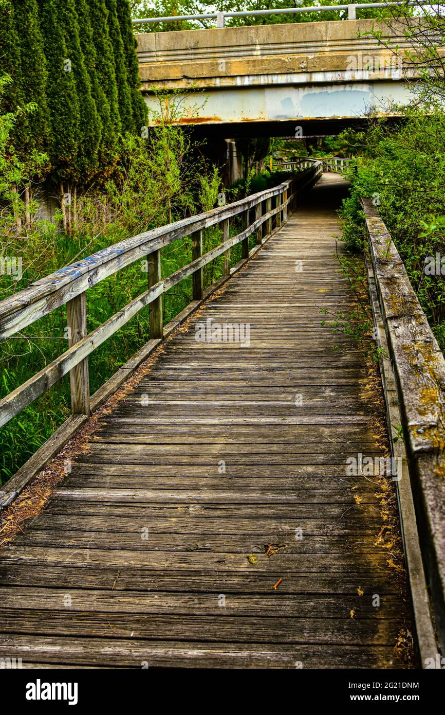 Wooden footbridge over marshy area creates a refreshing peaceful walk through a scenic wooded area in rural Western Michigan. Stock Photo