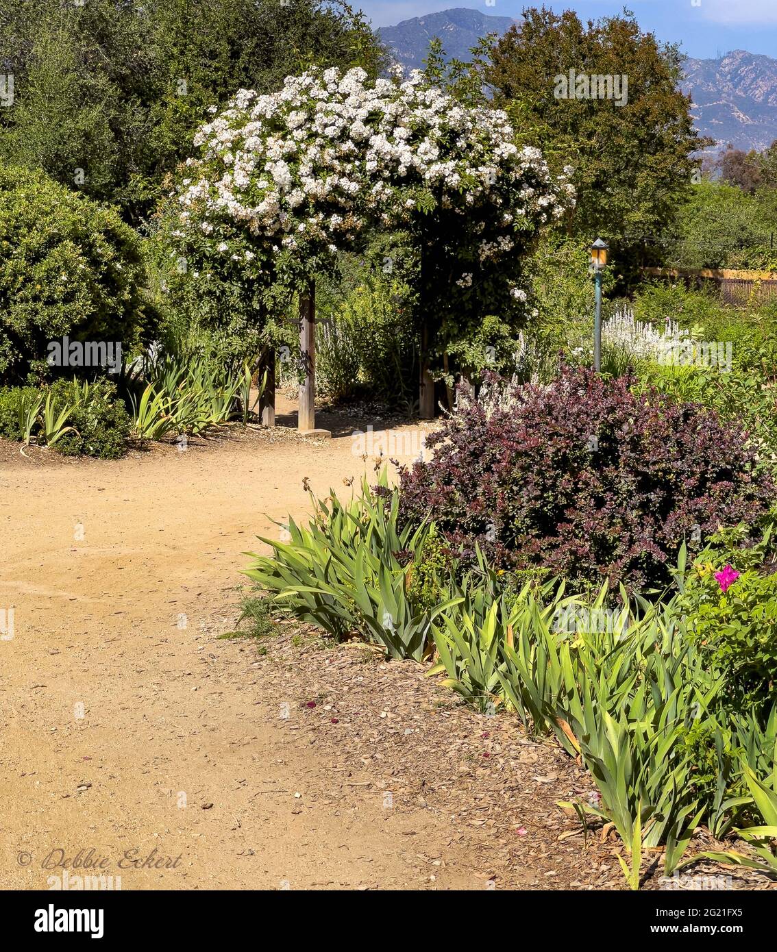 Landscaped outdoor space hi-res stock photography and images - Alamy