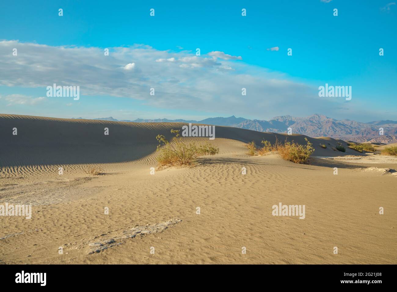 Sand dunes in desert and silhouette of mountains. Mesquite Flat Sand Dunes in Death Valley National Park, California Stock Photo