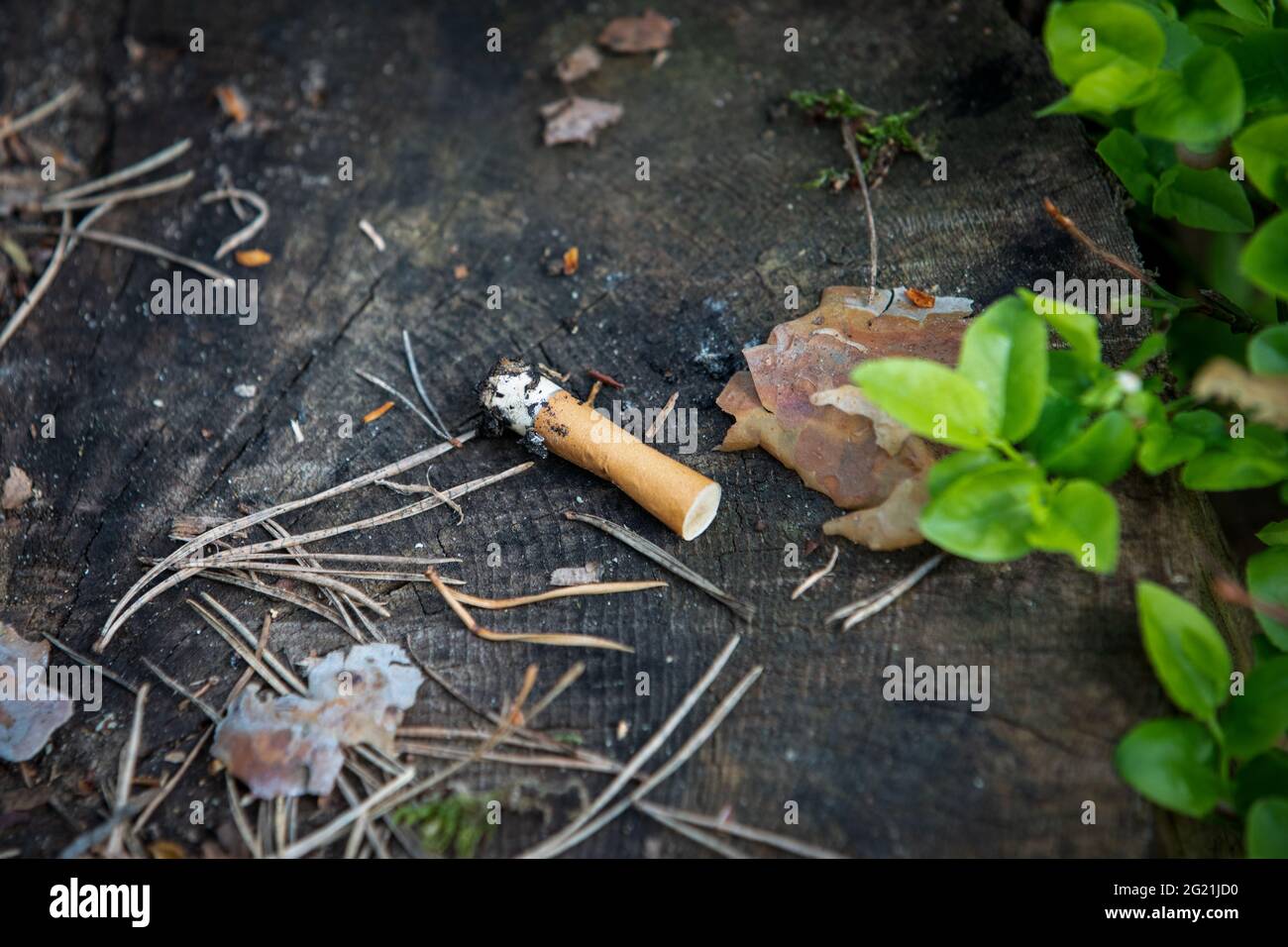 can you buy cigarettes on ryanair flights The Ryanair Sleep or How to Deal with Flight Boredom