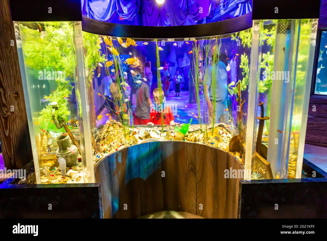 Fish swim in an aquarium at the Newport Aquarium in Newport, Kentucky