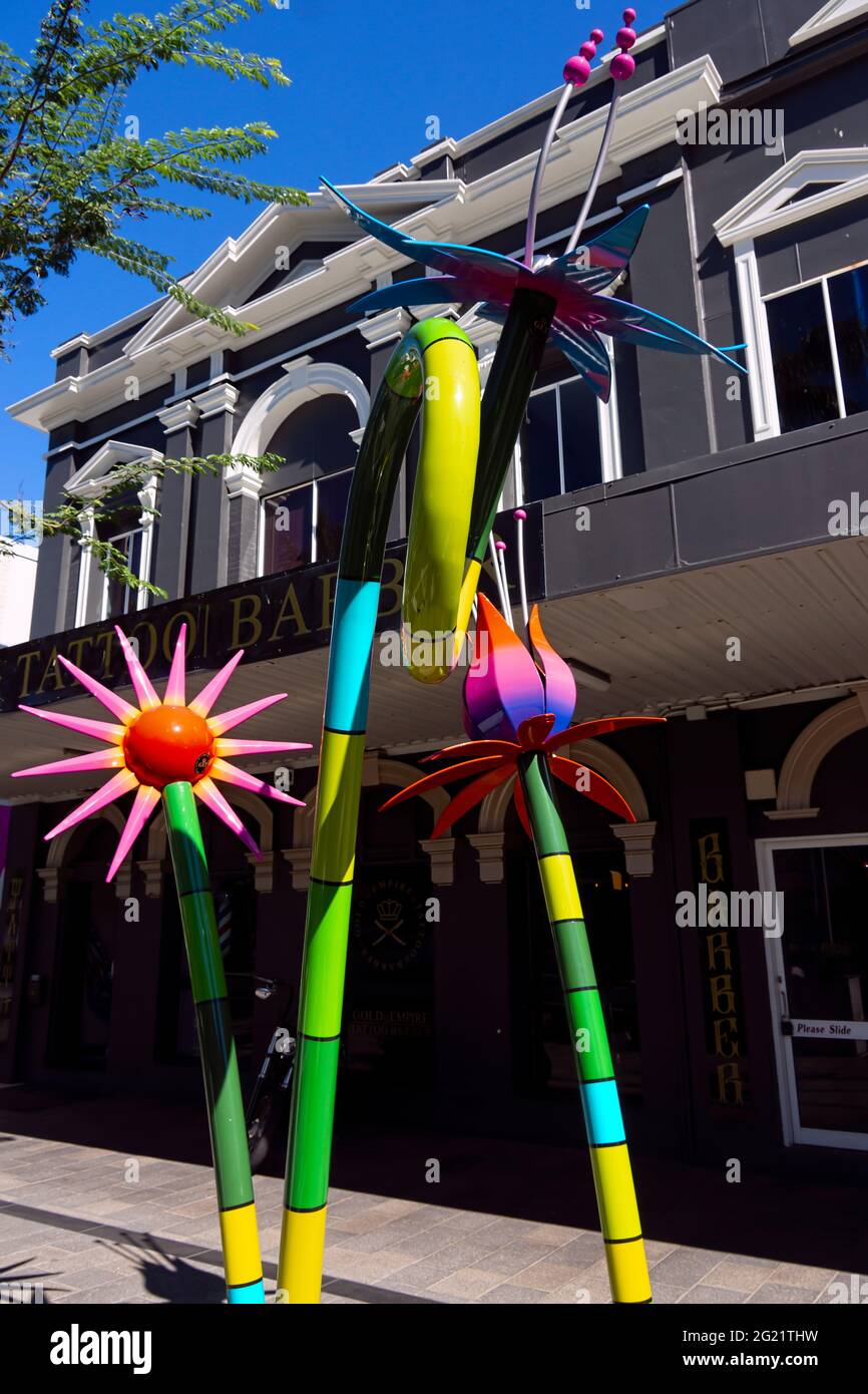 Colourful metal street art in the form of flowers designed in by Brian Robinson and in the Mackay City Heart adds colour and interest to the street sc Stock Photo