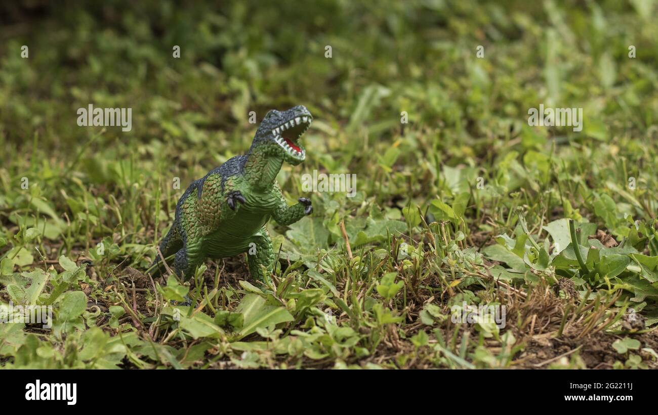 set portrait of toy dinosaur on green natural background Stock Photo