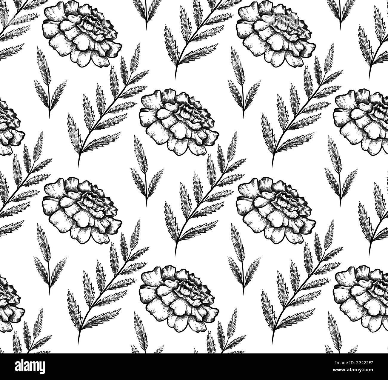Seamless monochrome pattern with botanical sketch of marigold flower and branch with leaves. Vector textile with floral natural drawing. Fabric with o Stock Vector