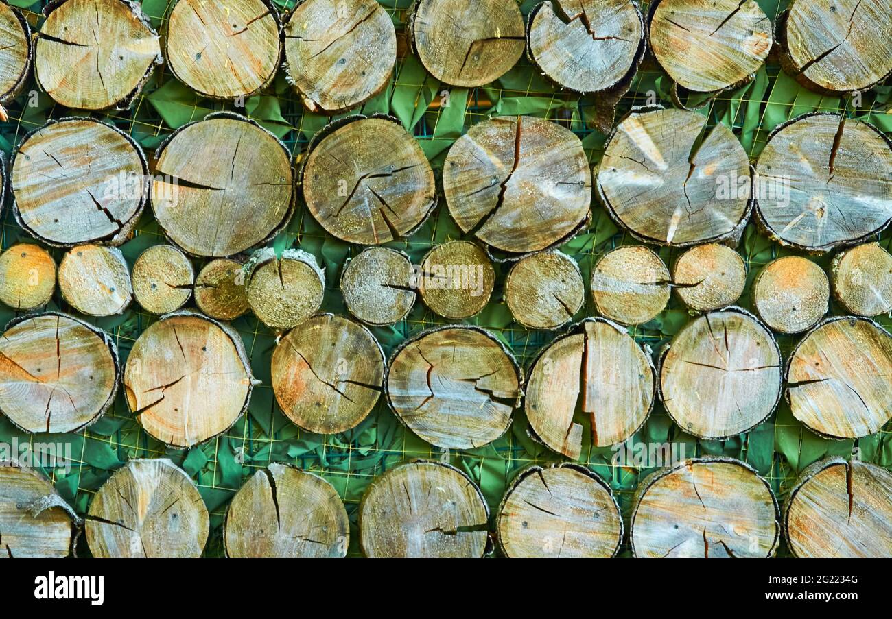 The background is made of round wooden saws and camouflage netting Stock Photo