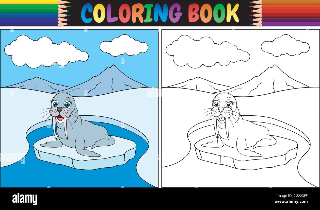Coloring book with walrus cartoon Stock Vector