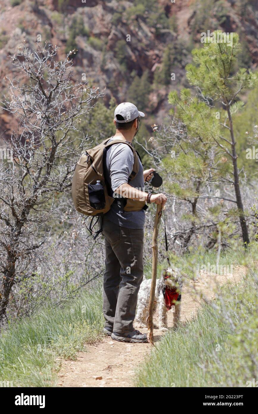 Young man trekking through the woods with his dog Stock Photo - Alamy
