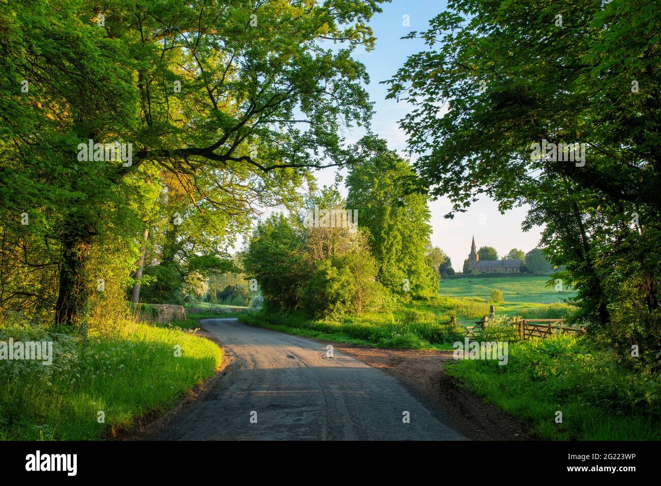 Country road in the english countryside at sunrise. Farnborough