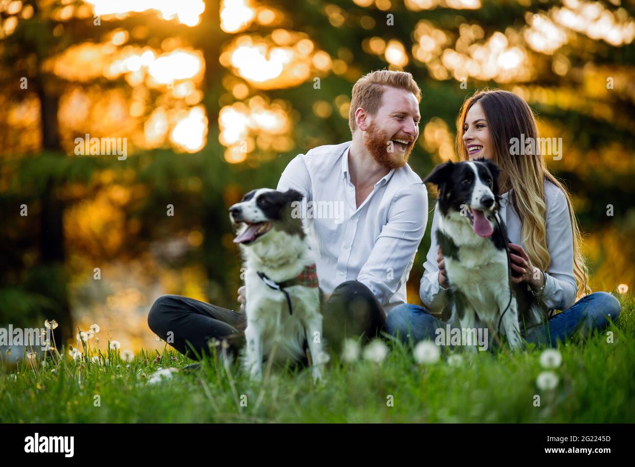 Happy couple playing with dog in the park outdoor Stock Photo - Alamy
