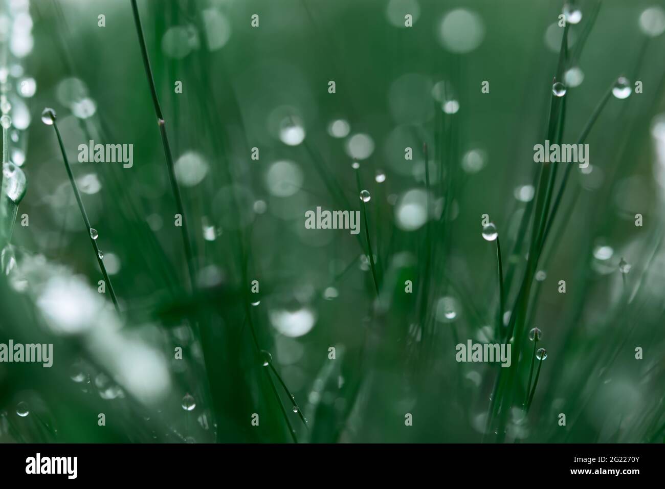 Environmenta hi-res stock photography and images - Alamy