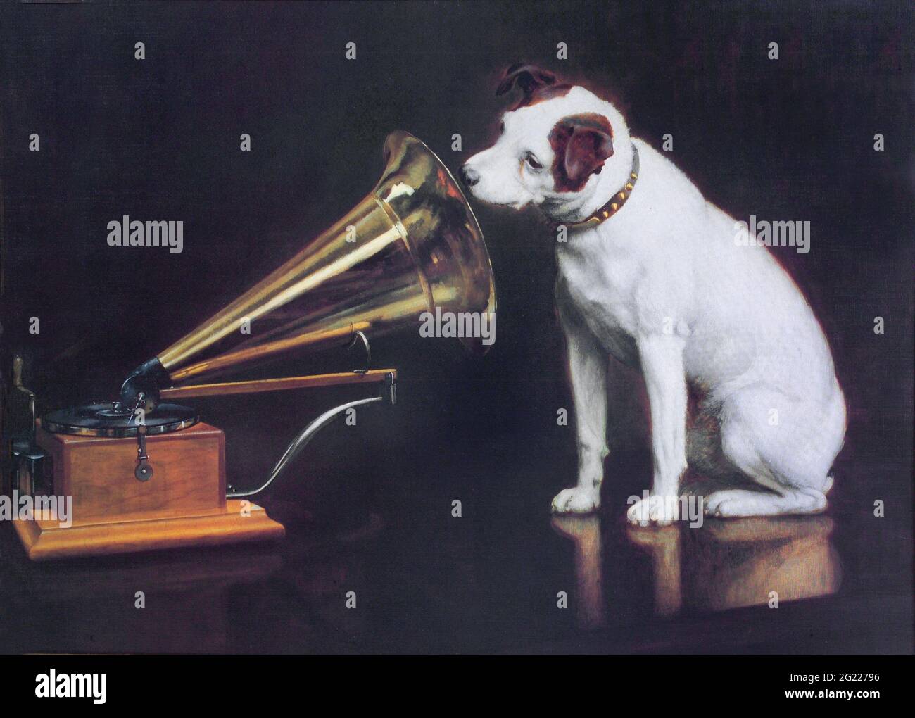 music, gramophone, dog sitting in front of gramophone, listening to the music, trumpet, ADDITIONAL-RIGHTS-CLEARANCE-INFO-NOT-AVAILABLE Stock Photo