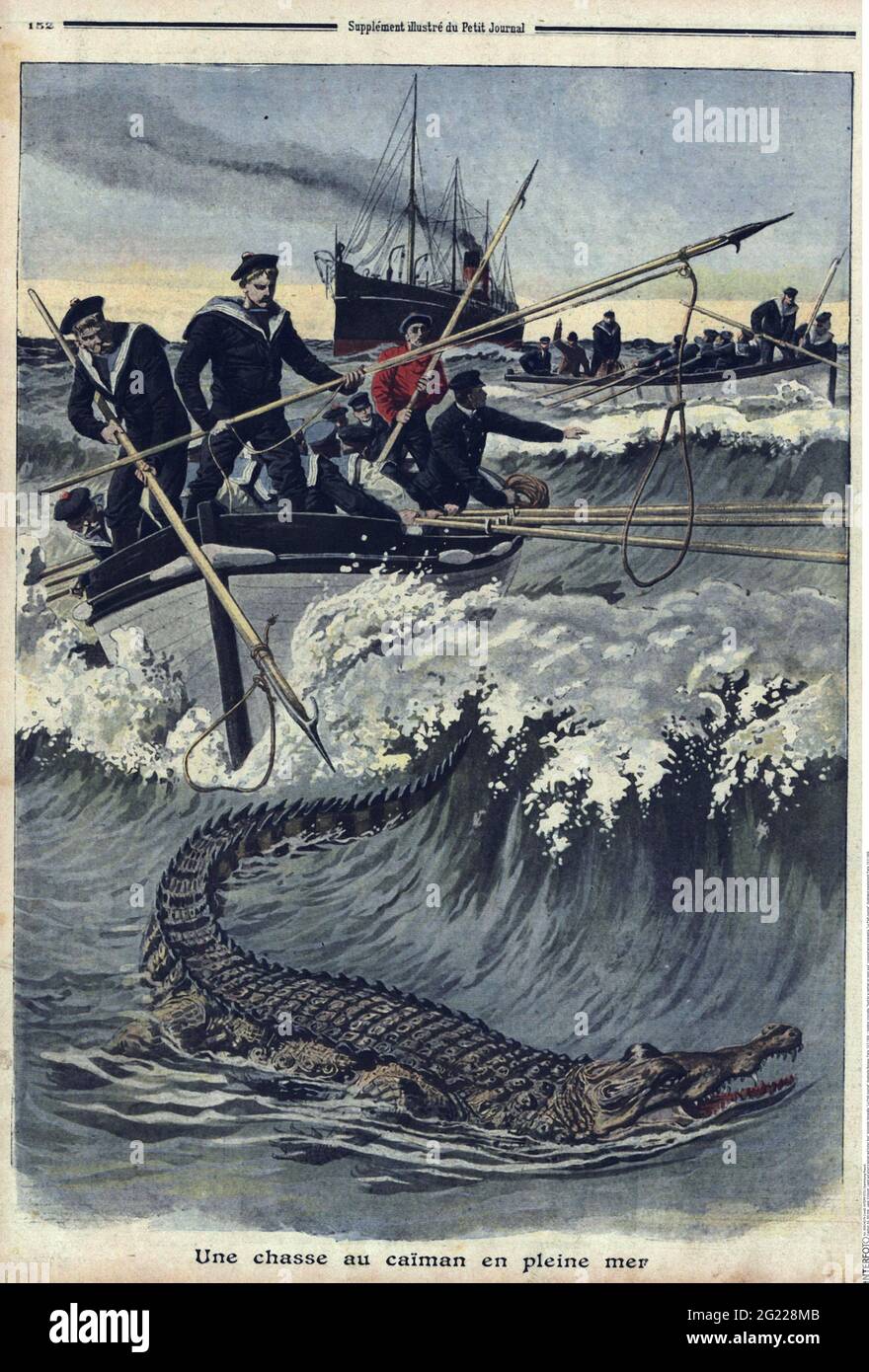 hunting, crocodile, 'hunt for a caiman on open sea', coloured wood engraving, 'Le Petit Journal', ADDITIONAL-RIGHTS-CLEARANCE-INFO-NOT-AVAILABLE Stock Photo